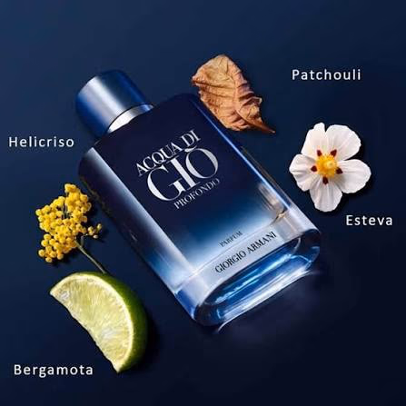 Acqua di Giò Profondo Parfum 100ml
