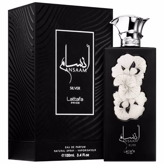 Ansaam Silver 100ml