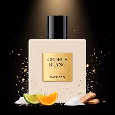 Cedrus Blanc